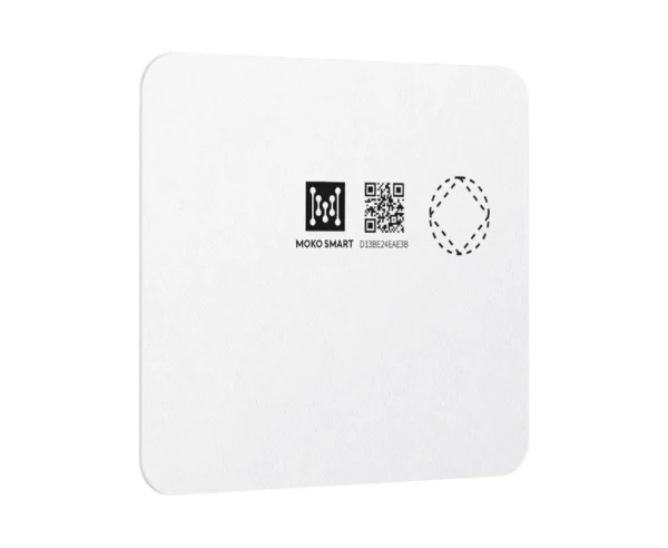 Paper Asset Tag